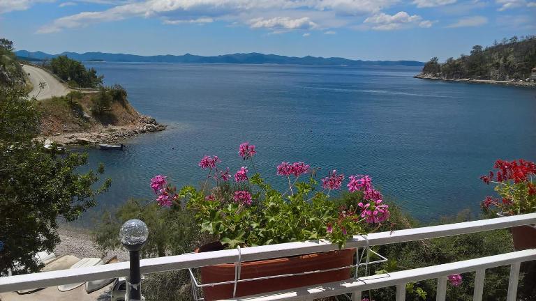 Apartmani Kunjasic - Chambres d'hôtes Trstenik