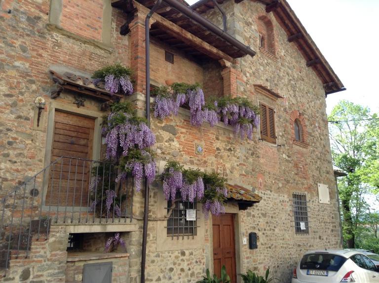 Il Glicine - B&B Laterina