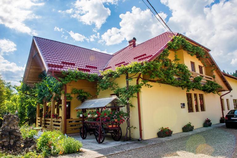 Casa Andreea - B&B Suceviţa