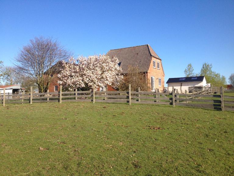 Pension Roager - B&B Jejsing