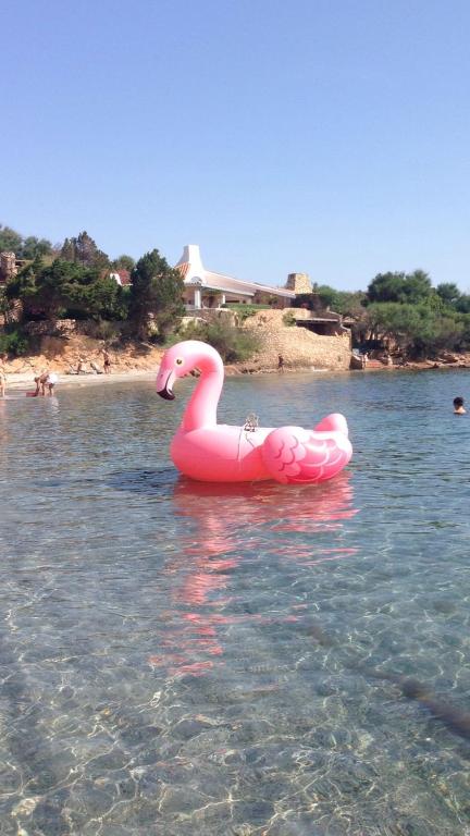 Residenza Chrysalis Bay - B&B Porto Cervo