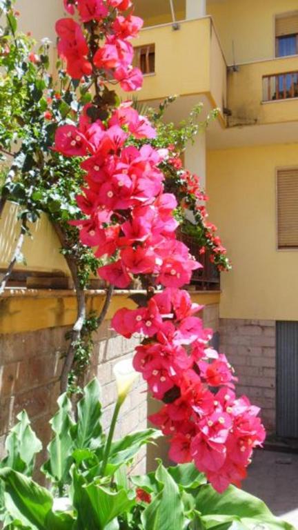 Apartament Trenta-dos - Ferienwohnung Alghero