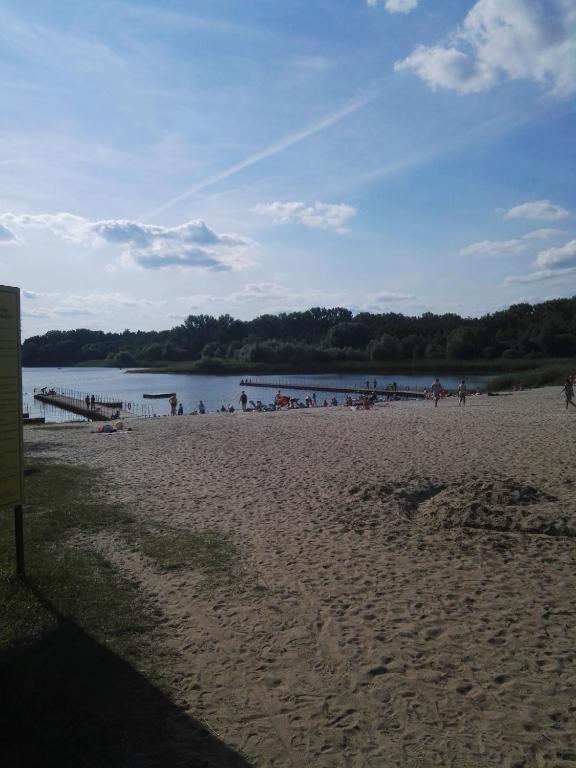 Domki drewniane alpejskie - B&B Świętne