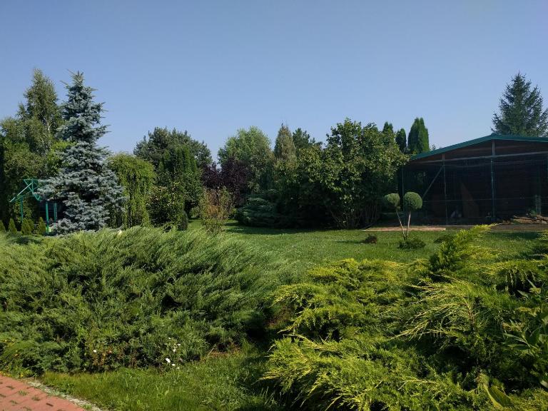Casa cu pauni - B&B Mărăcineni