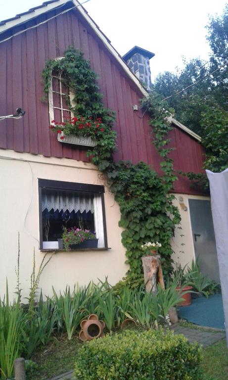 Bubi Niedlich - B&B Thale