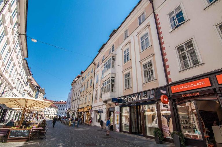 Elegant Central Apartment - Bed and Breakfast Ljubljana