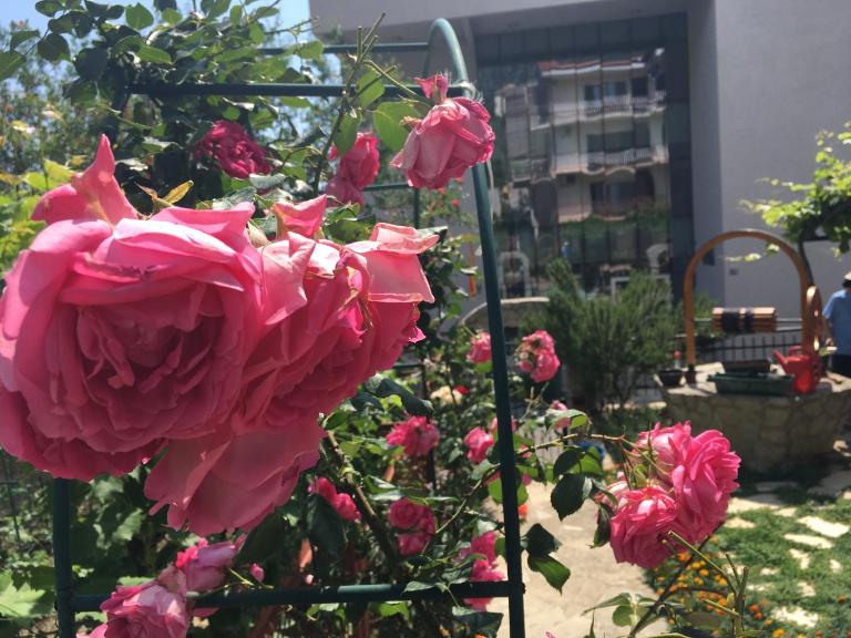 Apartments Milena - Bed and Breakfast Tivat