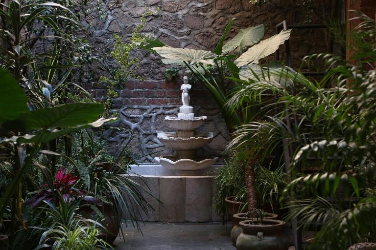 El Patio 77 B&B - B&B Mexico City