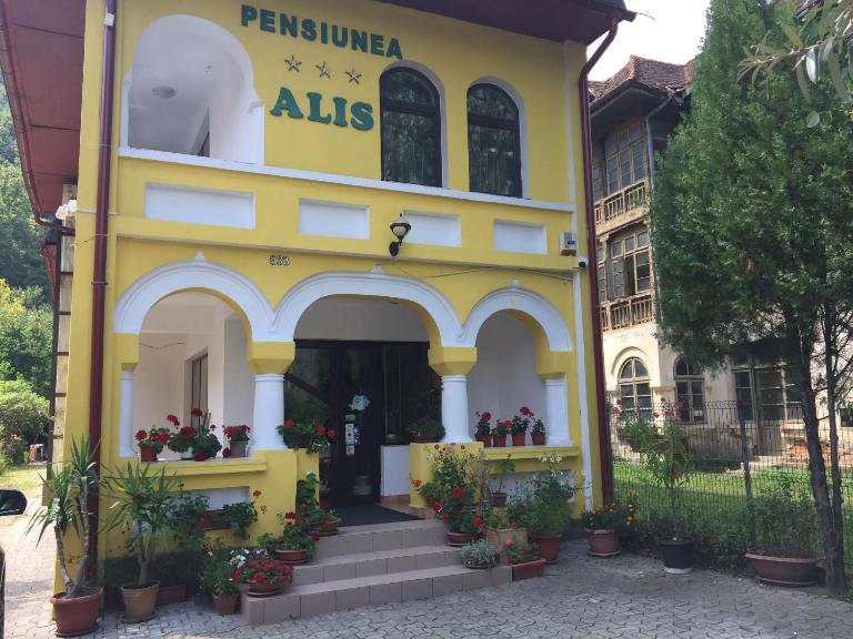 Pensiunea Alis - B&B Călimăneşti