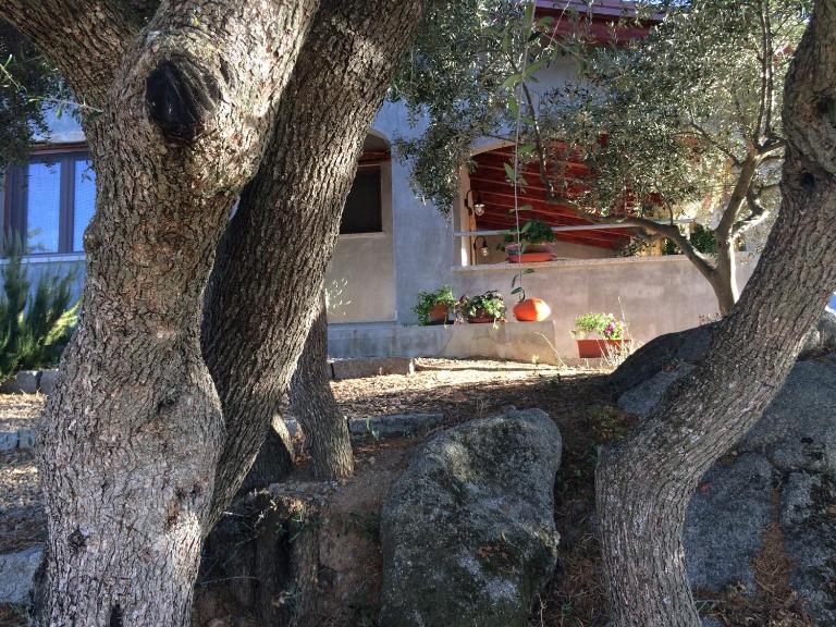 S'umbra de S'ozzastru - Bed and Breakfast Orgosolo