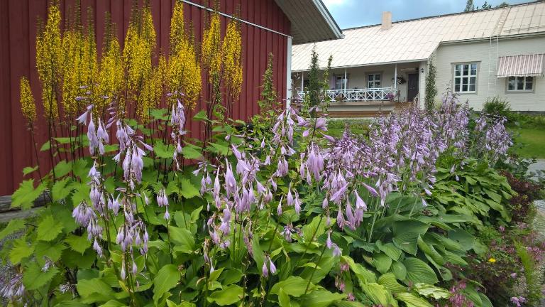 Tohninmäen Talo - B&B Töysä