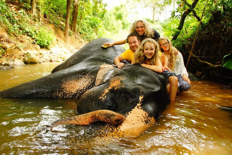 Jungle Village Homestay - B&B Pinnawala