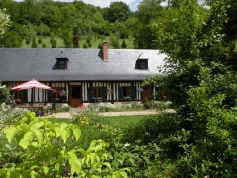 les orchidees sauvages - B&B Touffreville-la-Corbeline