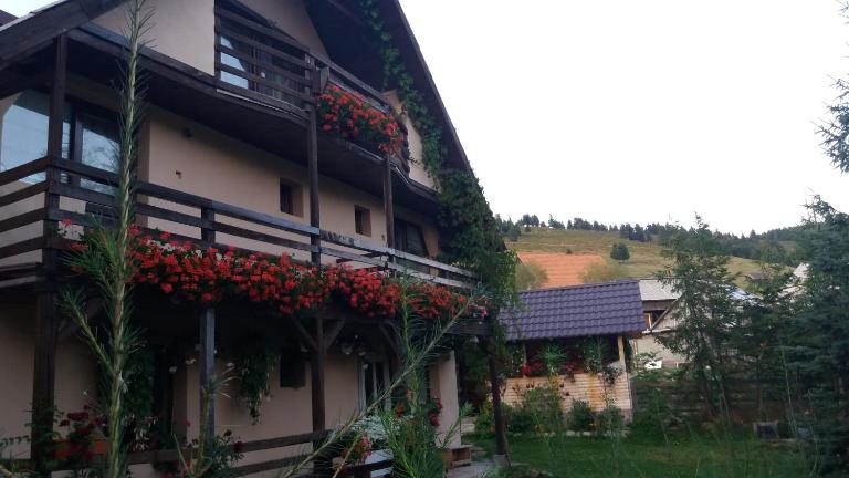 Cabana Ada 2 - B&B Vârtop