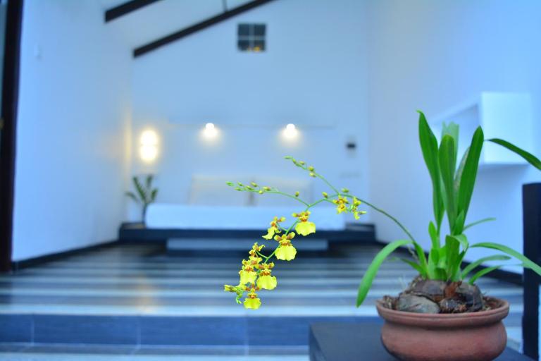 Midigama Holiday Inn - B&B Midigama