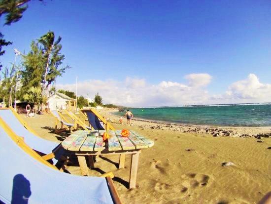 Vert Marine - B&B Saint-Leu