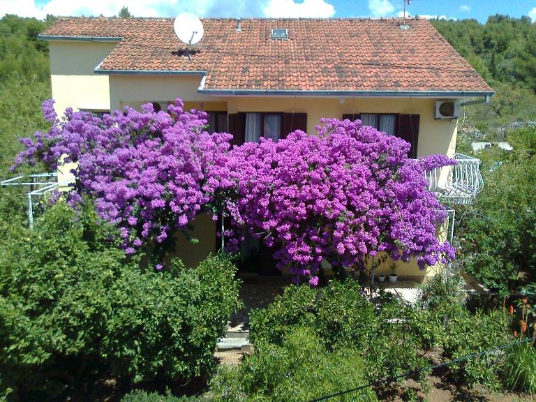 Apartments Runac - B&B Stari Grad