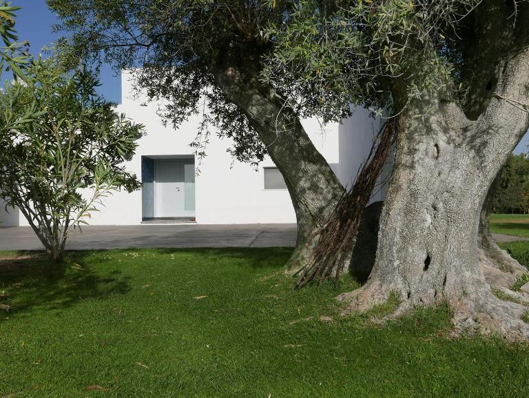 Casa do Vale da Terra Negra - B&B Vila Nova da Baronia