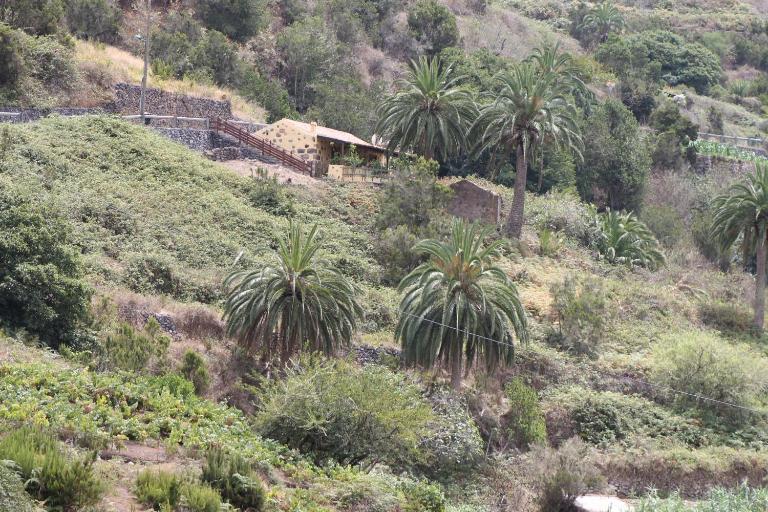 Casa Rural El Rincón de Antonia - Ferienwohnung Agulo