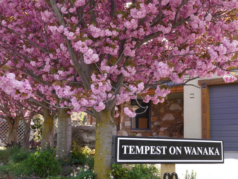 Tempest on Wanaka - B&B Wanaka