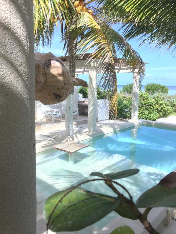 La Casa del Mangle - Chambres d'hôtes Chicxulub Puerto