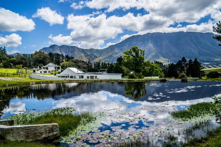 High Season Farm Luxury Cottages - Bed and Breakfast Hermanus