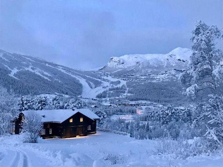 Kirkebøen Hytter - Ferienwohnung Hemsedal