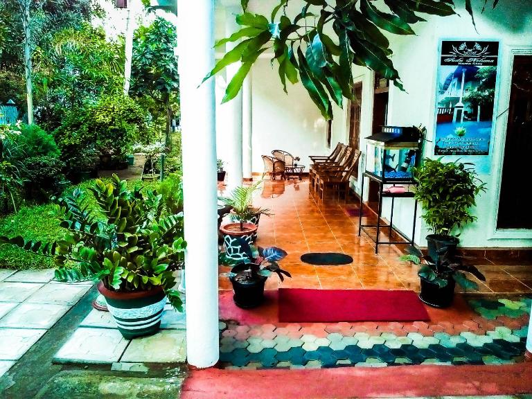 Sudu Neluma Home Stay - Bed and Breakfast Polonnaruwa