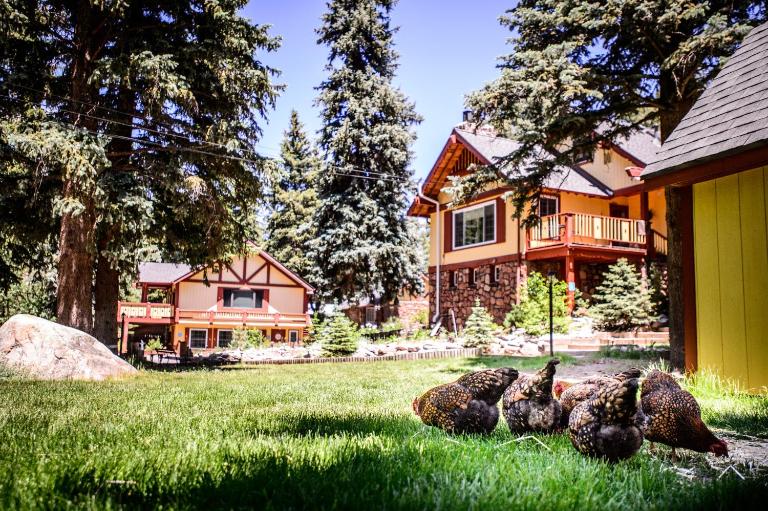 Alpen Way Chalet Mountain Lodge - B&B Evergreen