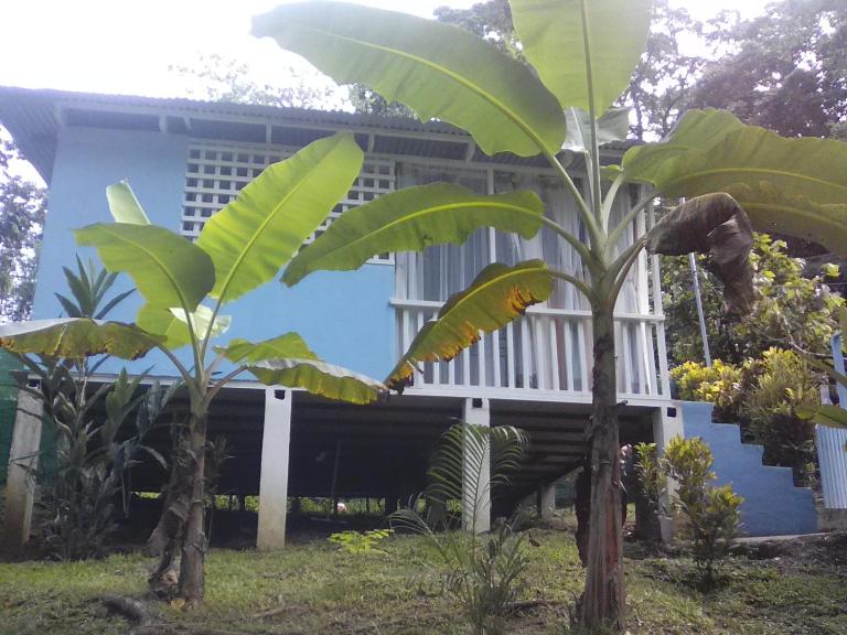 Casa MarMaria - Chambres d'hôtes Puerto Viejo de Sarapiqui