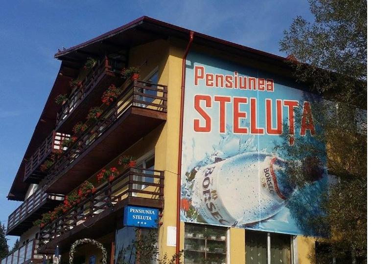 Pensiunea Steluta - Bed and Breakfast Predeal