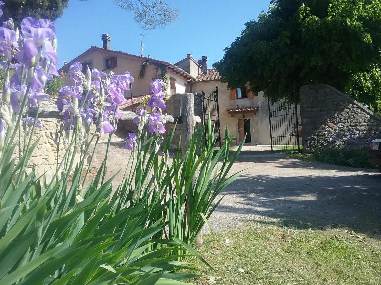 Casa Vacanze Podere Ugolini - B&B Ronta