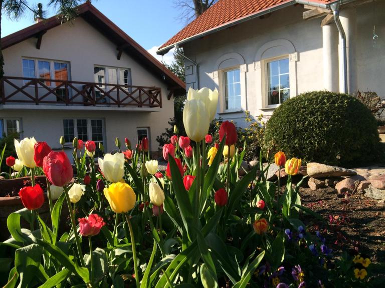agroturystyka Orzechowe Wzgórze - B&B Orzechowo