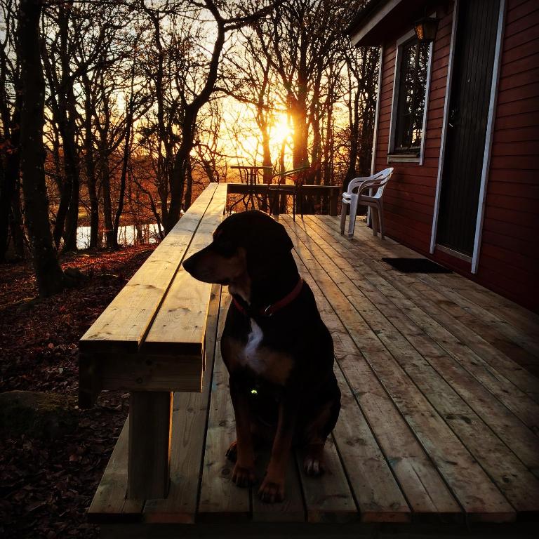 Farm Stay Happy Dogs Ranch - B&B Veberöd