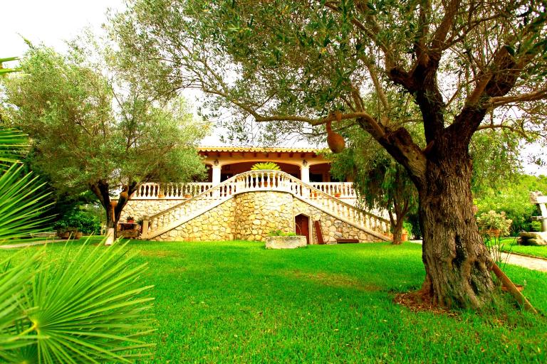 Son Jan Nou - B&B Campanet