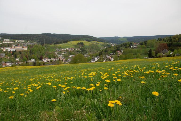 Ferienwohnung Körnerberg - B&B Klingenthal