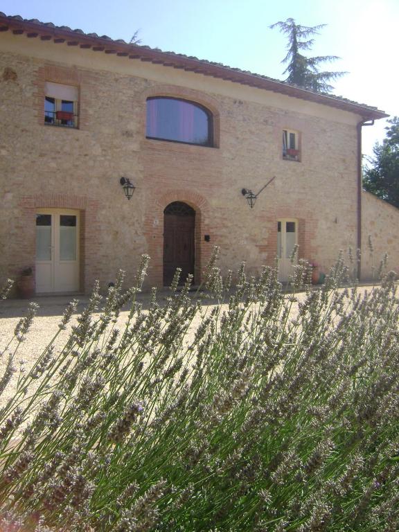 Agriturismo La Segolina - B&B Colle di Val d'Elsa