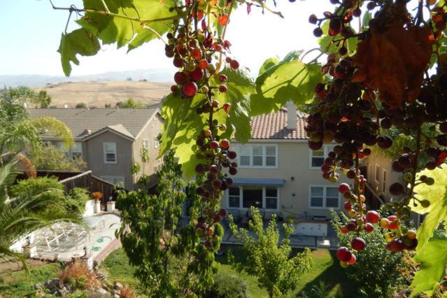Beautiful Home in Quiet Area - B&B San José