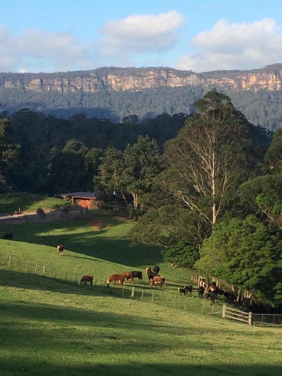 Amaroo Valley Springs - Bed and Breakfast Barrengarry