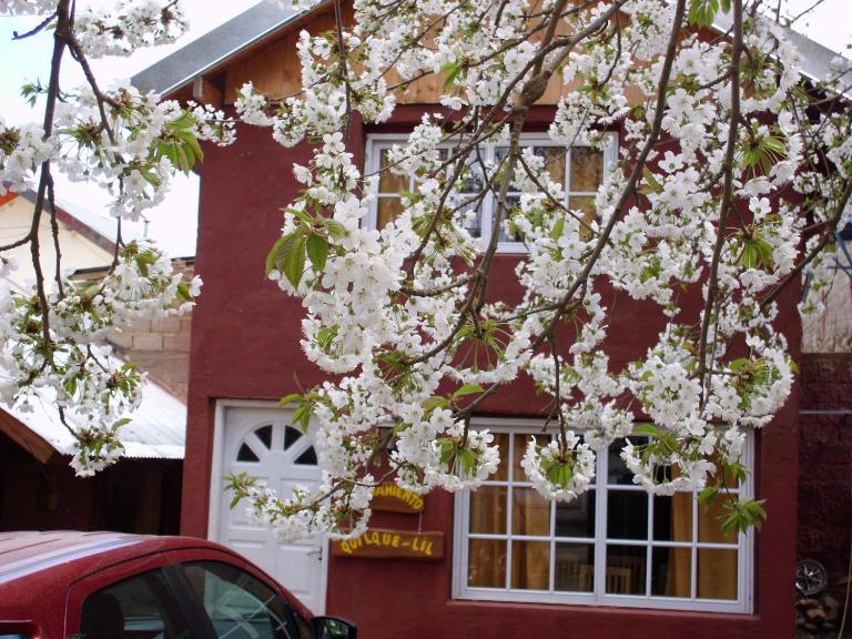 Alojamiento Quilque Lil - Chambres d'hôtes Alumine