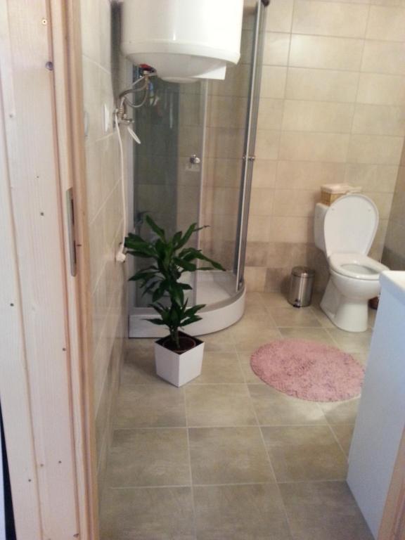 Ow Bursztynek - Bed and Breakfast Rusinowo