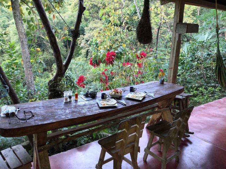 Finca San Rafael - Cafe y Cacao - B&B Minca