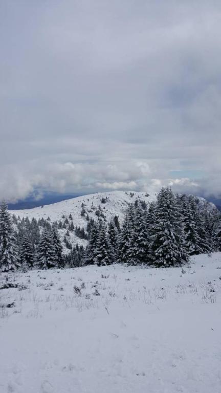 Apartment Simonida - Milmari M3 - B&B Kopaonik