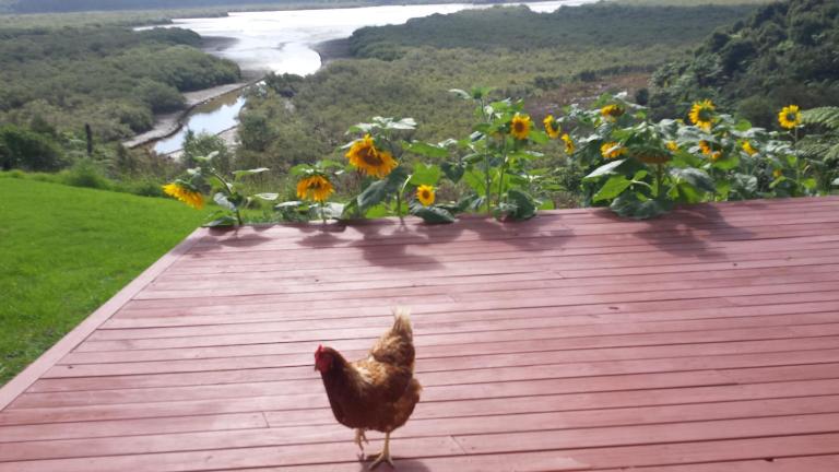 Taranaki - B&B Waihaha