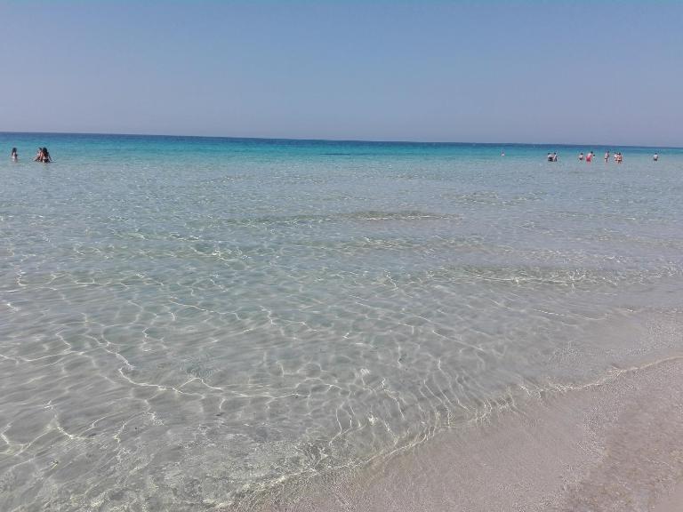 Trenta metri dal mare Caraibico - Ferienwohnung Lido Marini