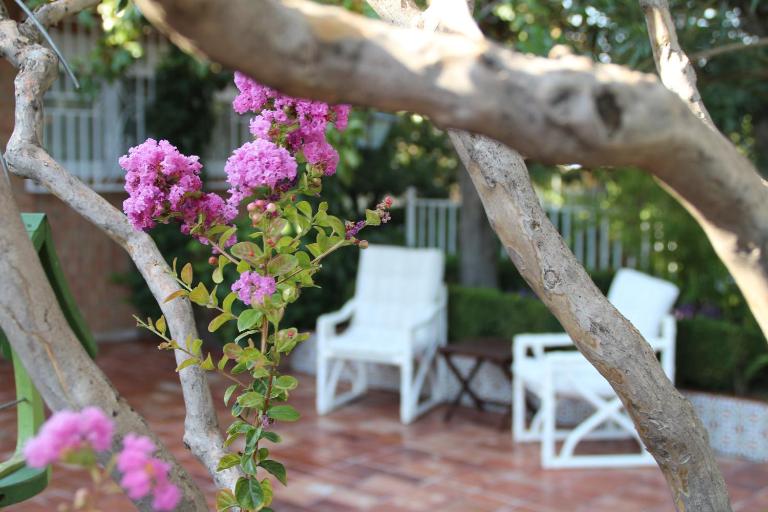 El jardín de la abuela - B&B Granada