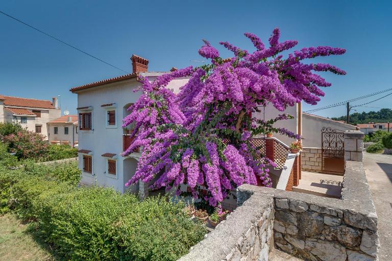 Apartments Bugenvilia I Near Beach & Private Parking - Bed and Breakfast Mali Lošinj