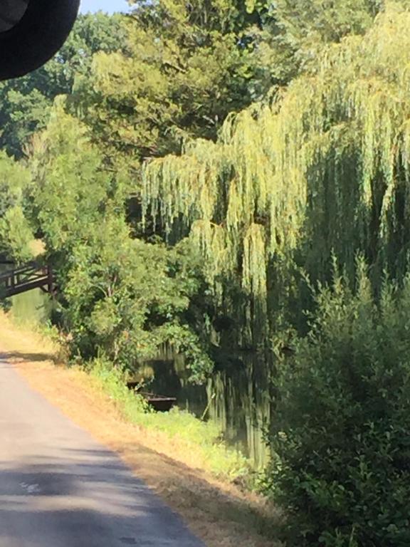 Relais de la Venise verte - Bed and Breakfast Coulon