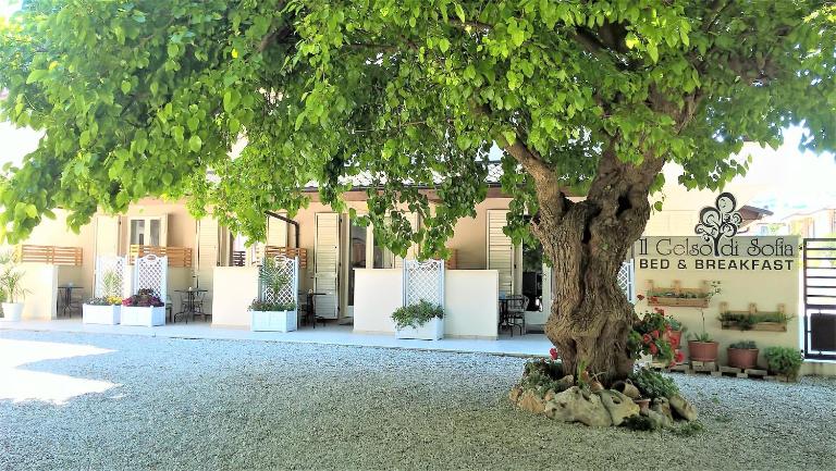 Il Gelso di Sofia B&B - B&B Tortoreto Lido