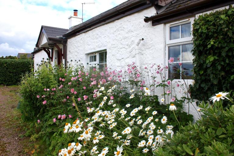 Tornaroan Cottage - B&B Ballycastle